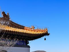 -颐和园