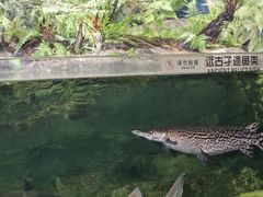-江和美海洋公园