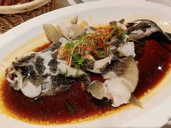 杭椒蒸笋壳鱼-南麓·浙里(外滩店)