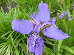 -上海山野camping·户外天幕烧烤·团建拓展营地