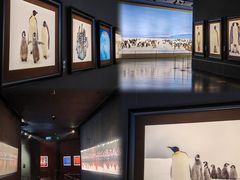 -罗红摄影艺术馆