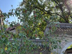 -元大都城垣遗址公园