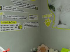 -上海浦东smart汽车全功能店(金桥店)