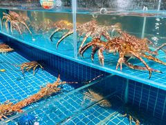 景观位-海龙馆海鲜餐厅(西湖文化广场店)