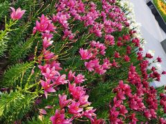 -长春公园(普阳街道)