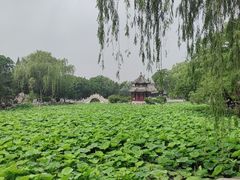 -莲池书院博物馆