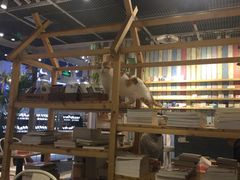 面包甜点陈列柜-小时光咖啡馆(开森度假森林店)