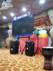 -卡通尼·Safari非洲探索乐园·生日会(金桥国际商业广场店)