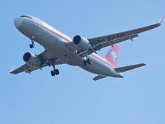 -空港花田景区