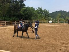 -枫露马术学院(藏书校区)