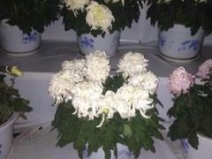 android_upload_pic-迎泽公园