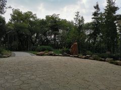 -上海市保健医疗中心