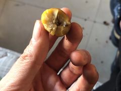 -小宝栗子(嘉华国际商业中心店)