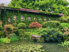 -中国茶叶博物馆(双峰馆区)