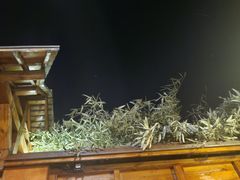 -御林汤泉
