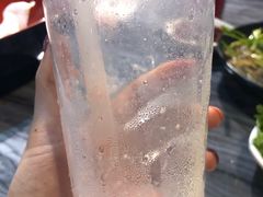 -野萃山·潮汕厚果汁(十亩地店)