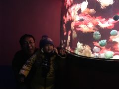 -烟台海昌鲸鲨海洋公园