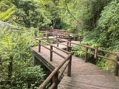 -赤水丹霞旅游区·佛光岩