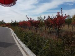 -鄂尔多斯野生动物园