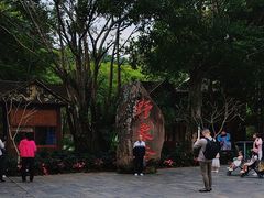 -野象谷景区