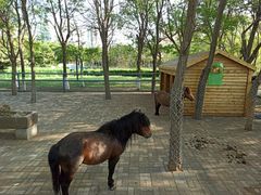 -长白岛森林公园