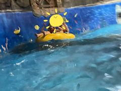 -青岛东方影都融创水世界