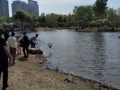-群力丁香公园