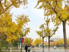 -复旦张江校区食堂