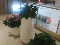 -苏州现代传媒广场商业
