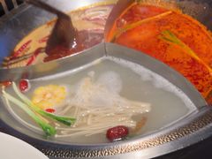 -辣伍鲜毛肚老火锅(元一店)