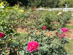 -人民公园(罗湖区)