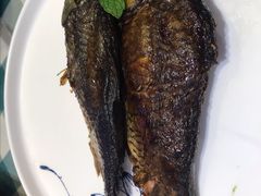 -紫光园·烤鸭(吕家营店)