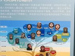 -柳州白莲洞洞穴科学博物馆