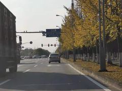 -胜华驾校·小猫学车(银都店)