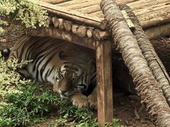 -昆明动物园