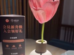 -淮扬府·游园京梦(北京SKP店)