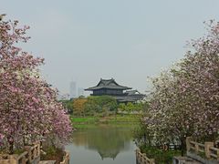 -海珠湖公园