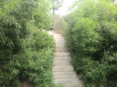 -西安青龙寺遗址景区