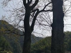 -遂昌金矿国家矿山公园
