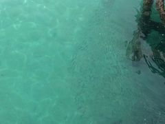 -东姑阿都拉曼海洋公园