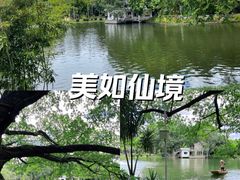 -晓港公园