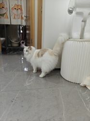 -元一肌肤管理中心