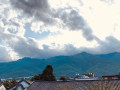 -喵屿·大理花园猫咖