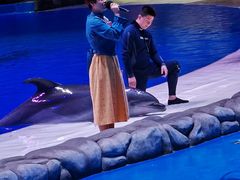 -华夏文旅海洋公园