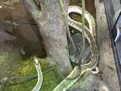 -厦门园林博览苑