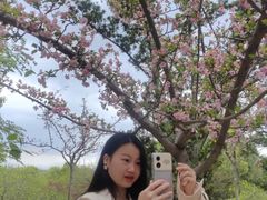 -秀丽东方