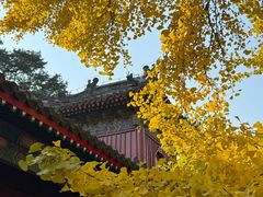 -承恩寺