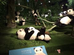 iphone_upload_pic-成都泰迪熊博物馆