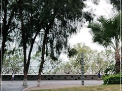 -宝安西湾红树林湿地公园