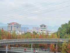 -福道
